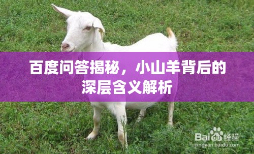 百度問(wèn)答揭秘，小山羊背后的深層含義解析