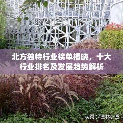 北方獨(dú)特行業(yè)榜單揭曉，十大行業(yè)排名及發(fā)展趨勢解析