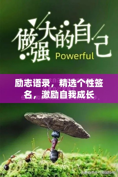 勵志語錄，精選個性簽名，激勵自我成長