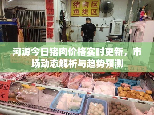 河源今日豬肉價格實時更新，市場動態(tài)解析與趨勢預測