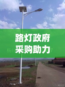 路燈政府采購助力節(jié)能綠色照明，共建節(jié)能社會新時代
