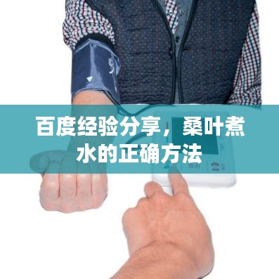 百度經(jīng)驗(yàn)分享，桑葉煮水的正確方法
