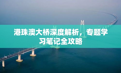 港珠澳大橋深度解析，專題學習筆記全攻略