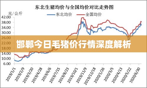 邯鄲今日毛豬價行情深度解析