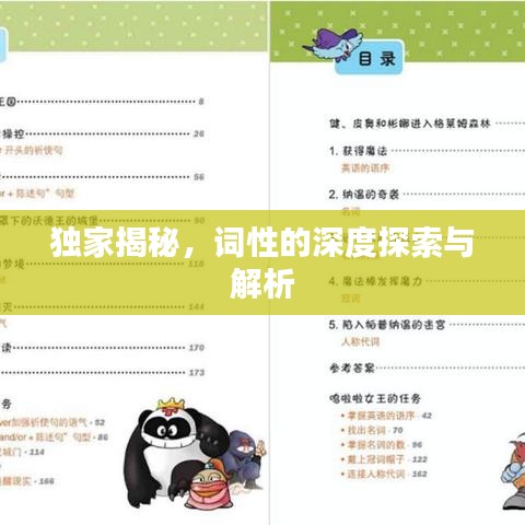 獨家揭秘，詞性的深度探索與解析