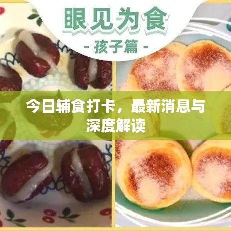 今日輔食打卡，最新消息與深度解讀