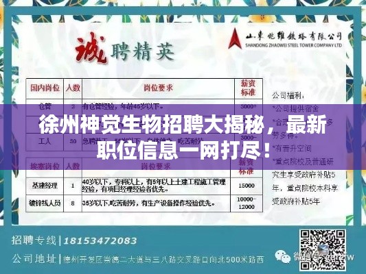 徐州神覺生物招聘大揭秘，最新職位信息一網(wǎng)打盡！
