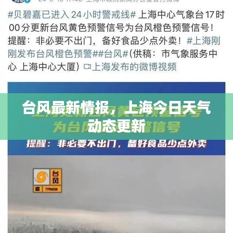 臺(tái)風(fēng)最新情報(bào)，上海今日天氣動(dòng)態(tài)更新