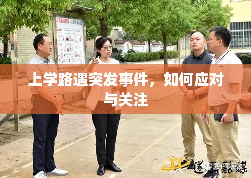 上學路遇突發(fā)事件，如何應對與關注