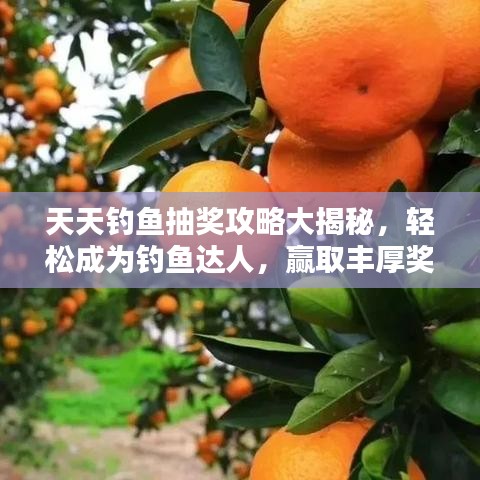天天釣魚抽獎攻略大揭秘，輕松成為釣魚達(dá)人，贏取豐厚獎勵秘籍！