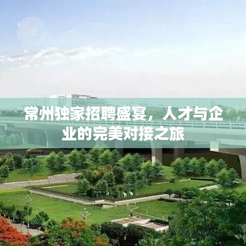 常州獨(dú)家招聘盛宴，人才與企業(yè)的完美對接之旅
