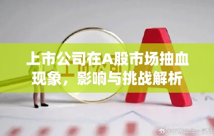 上市公司在A股市場抽血現(xiàn)象，影響與挑戰(zhàn)解析