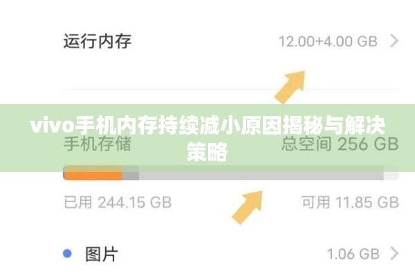 vivo手機內(nèi)存持續(xù)減小原因揭秘與解決策略