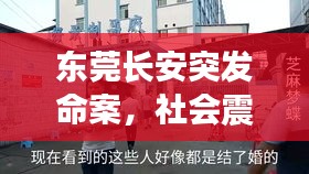 東莞長安突發(fā)命案，社會震驚關注！