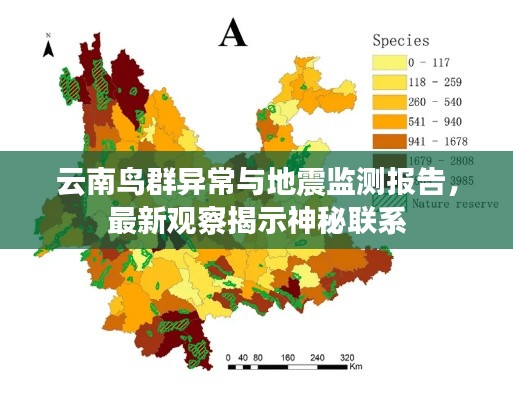 云南鳥群異常與地震監(jiān)測報(bào)告，最新觀察揭示神秘聯(lián)系