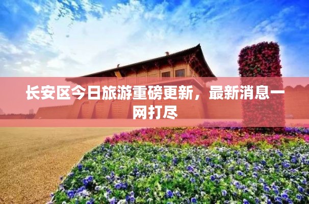 長安區(qū)今日旅游重磅更新，最新消息一網打盡