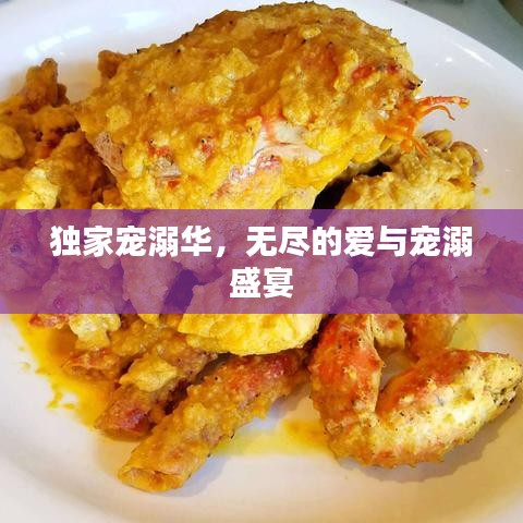 獨(dú)家寵溺華，無(wú)盡的愛(ài)與寵溺盛宴
