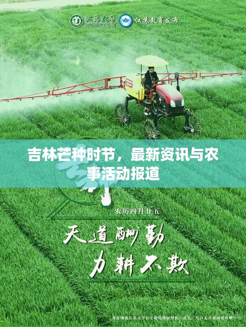 吉林芒種時(shí)節(jié)，最新資訊與農(nóng)事活動(dòng)報(bào)道