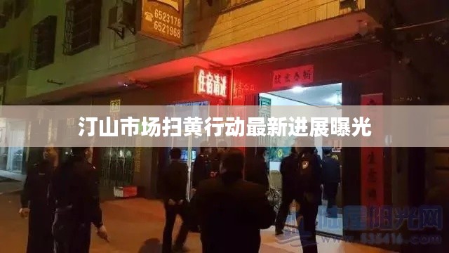 汀山市場掃黃行動最新進展曝光