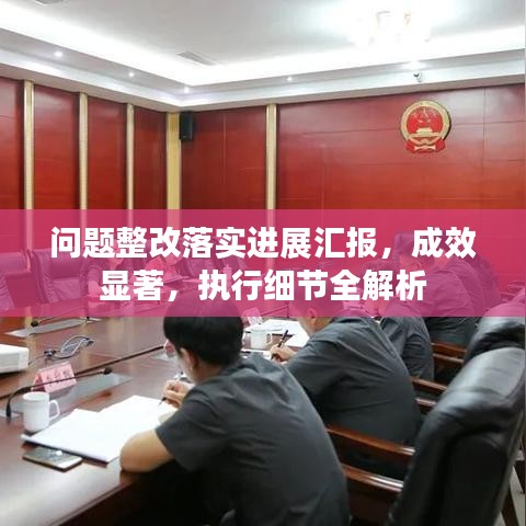 問題整改落實進展匯報，成效顯著，執(zhí)行細節(jié)全解析