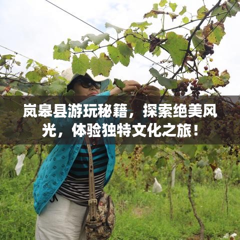嵐皋縣游玩秘籍，探索絕美風(fēng)光，體驗獨特文化之旅！