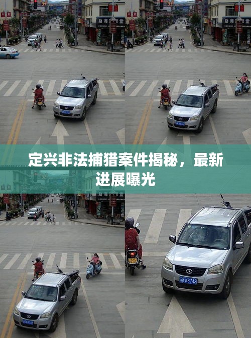 定興非法捕獵案件揭秘，最新進(jìn)展曝光