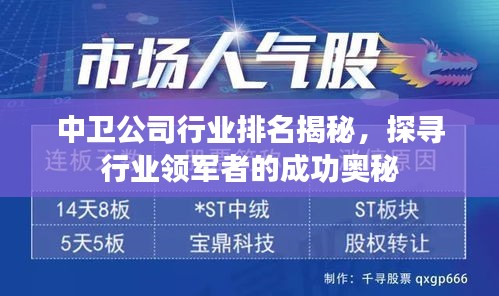 中衛(wèi)公司行業(yè)排名揭秘，探尋行業(yè)領(lǐng)軍者的成功奧秘