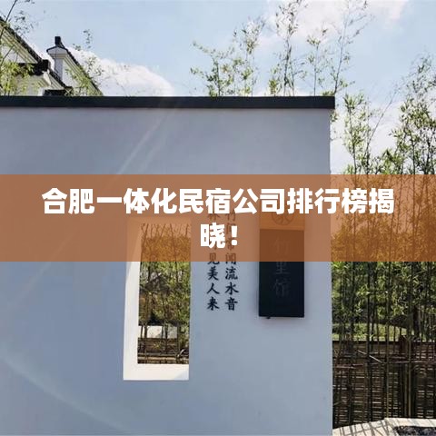 合肥一體化民宿公司排行榜揭曉！