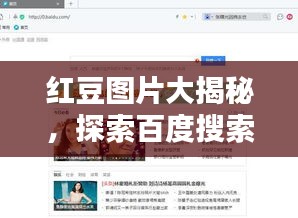 紅豆圖片大揭秘，探索百度搜索中的無盡魅力