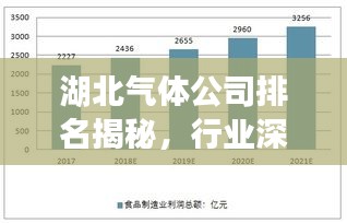 湖北氣體公司排名揭秘，行業(yè)深度分析與前景展望