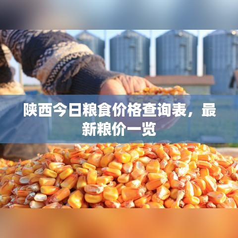 陜西今日糧食價格查詢表，最新糧價一覽