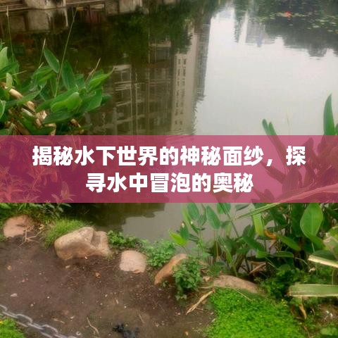 揭秘水下世界的神秘面紗，探尋水中冒泡的奧秘