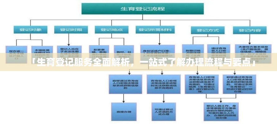 「生育登記服務(wù)全面解析，一站式了解辦理流程與要點」