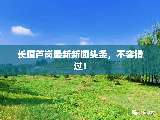 避實就虛