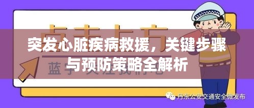 突發(fā)心臟疾病救援，關(guān)鍵步驟與預(yù)防策略全解析