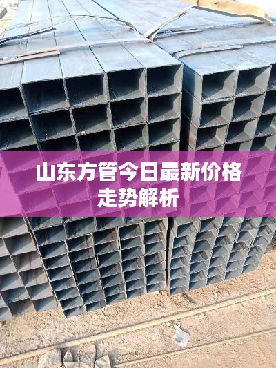 山東方管今日最新價(jià)格走勢(shì)解析