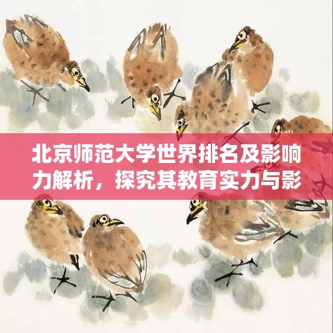北京師范大學(xué)世界排名及影響力解析，探究其教育實(shí)力與影響力之巔