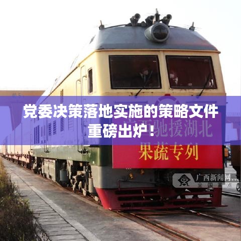 黨委決策落地實施的策略文件重磅出爐！