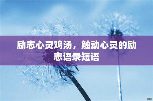 勵志心靈雞湯，觸動心靈的勵志語錄短語