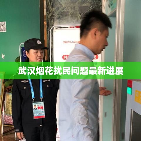 武漢煙花擾民問題最新進(jìn)展