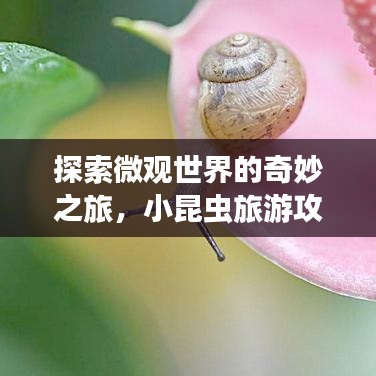 探索微觀世界的奇妙之旅，小昆蟲旅游攻略全解析