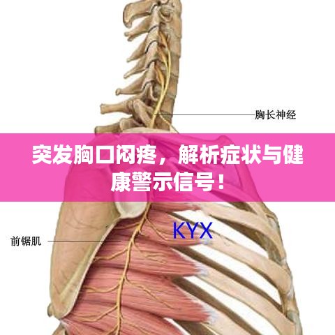 突發(fā)胸口悶疼，解析癥狀與健康警示信號！