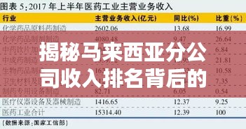 揭秘馬來西亞分公司收入排名背后的秘密，影響因素全解析