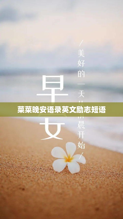 菜菜晚安語錄英文勵志短語