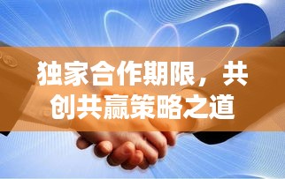 獨家合作期限，共創(chuàng)共贏策略之道