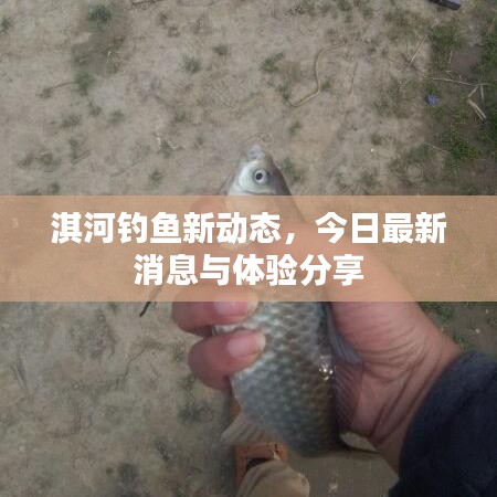 淇河釣魚(yú)新動(dòng)態(tài)，今日最新消息與體驗(yàn)分享