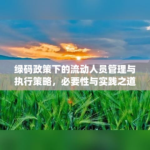 綠碼政策下的流動人員管理與執(zhí)行策略，必要性與實踐之道