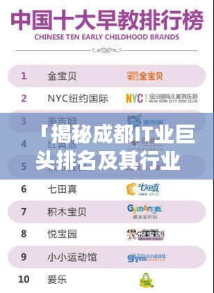 「揭秘成都IT業(yè)巨頭排名及其行業(yè)影響力不容小覷」