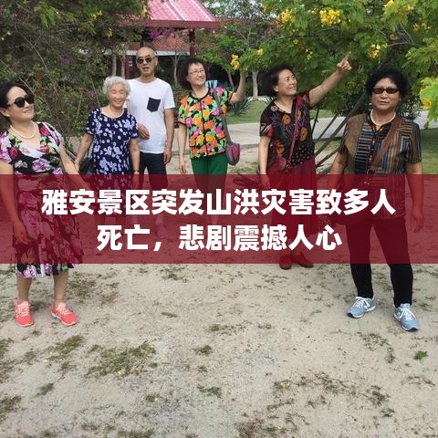 雅安景區(qū)突發(fā)山洪災(zāi)害致多人死亡，悲劇震撼人心