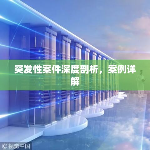 突發(fā)性案件深度剖析，案例詳解